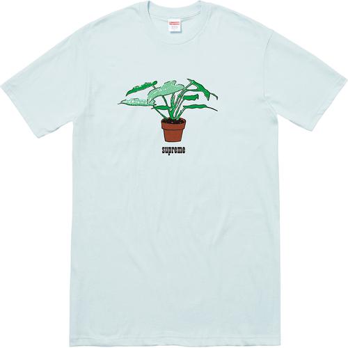 Details on Plant Tee None from fall winter
                                                    2017 (Price is $34)