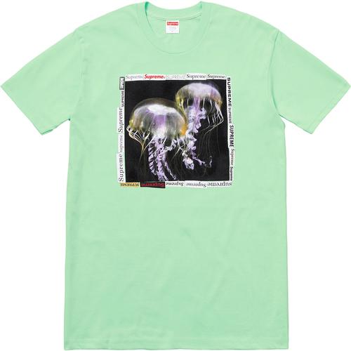 Details on Jellyfish Tee None from spring summer
                                                    2018 (Price is $36)