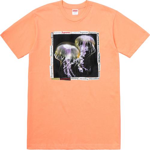 Details on Jellyfish Tee None from spring summer
                                                    2018 (Price is $36)