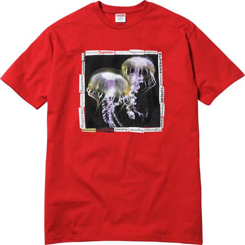 Details on Jellyfish Tee None from spring summer
                                                    2018 (Price is $36)