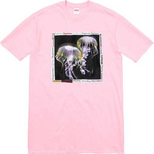 Details on Jellyfish Tee None from spring summer
                                                    2018 (Price is $36)