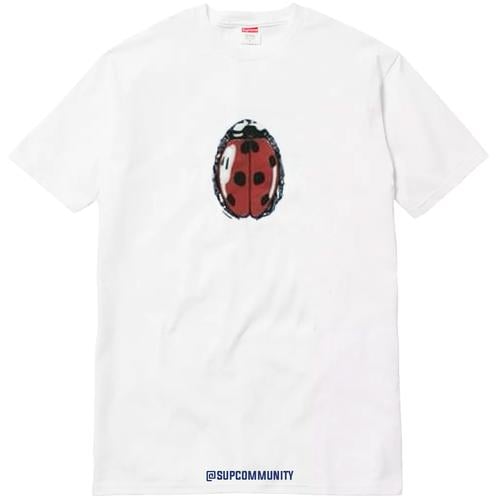 Details on Ladybug Tee None from spring summer
                                                    2018 (Price is $36)