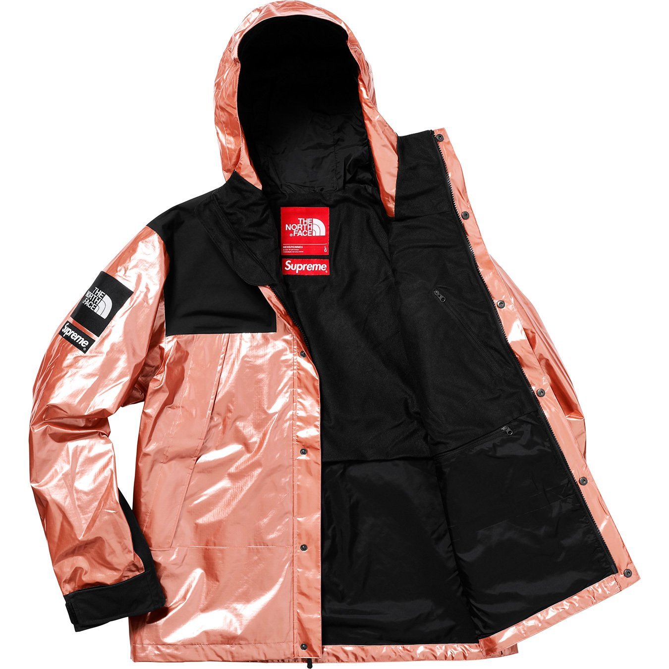 The North Face Metallic Mountain Parka - spring summer 2018 - Supreme