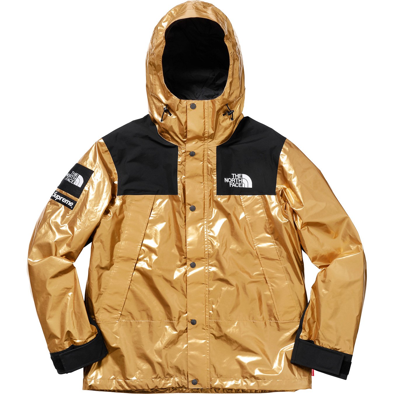 The North Face Metallic Mountain Parka - spring summer 2018 - Supreme