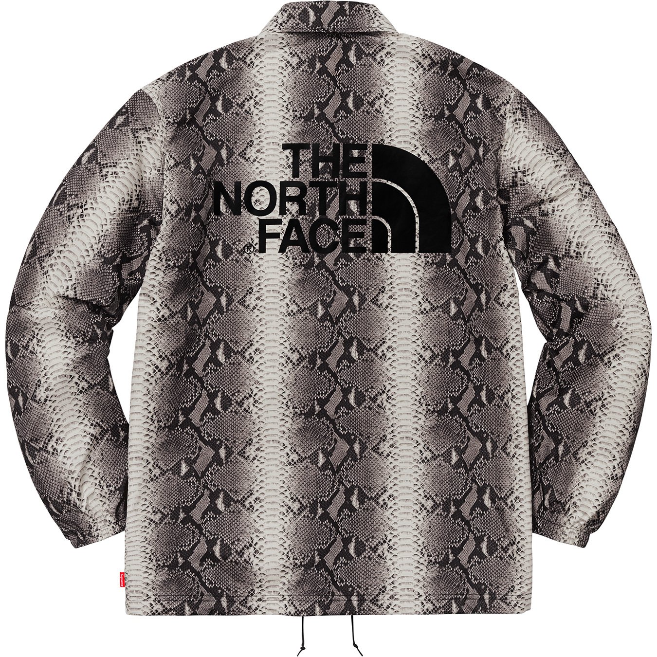 The North Face Snakeskin Taped Seam Coaches Jacket - spring summer