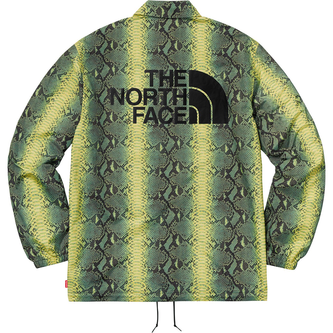 Streetwear Jacket Sale with Origins NYC 🚩 - Supreme The North Face  Snakeskin Taped Seam Coaches Jacket Green