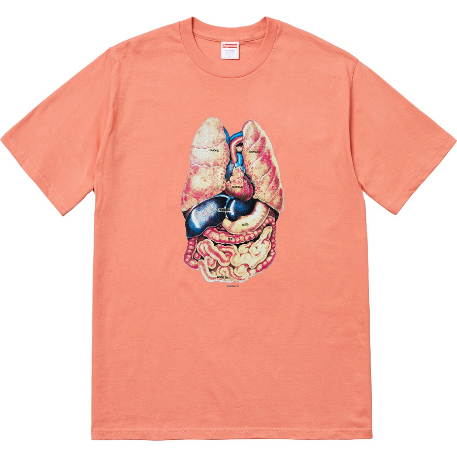 Details on Guts Tee Terra Cotta from fall winter 2018 (Price is $36)