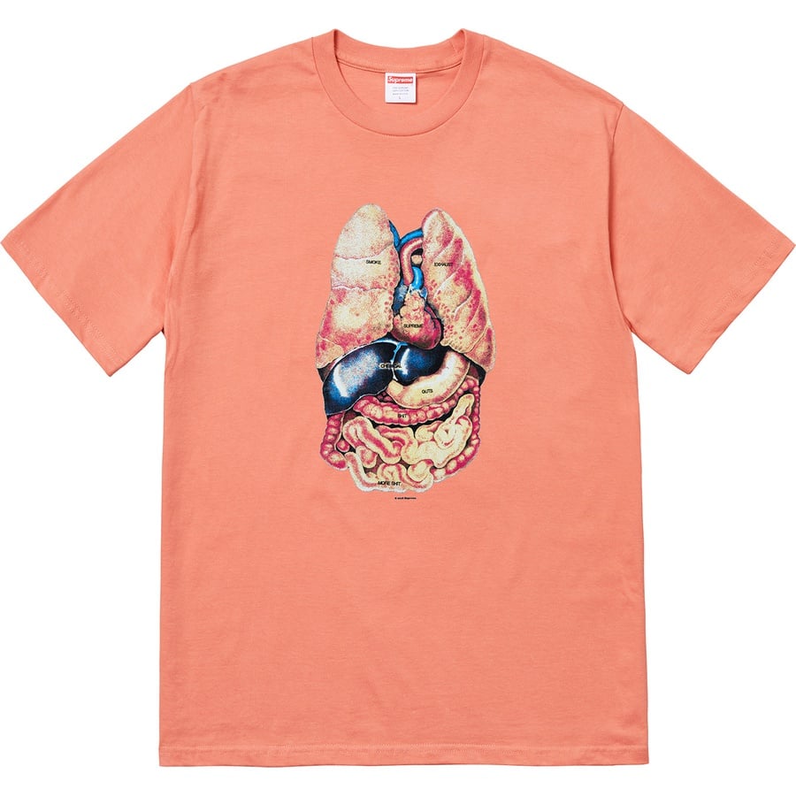 Details on Guts Tee Terra Cotta from fall winter
                                                    2018 (Price is $36)