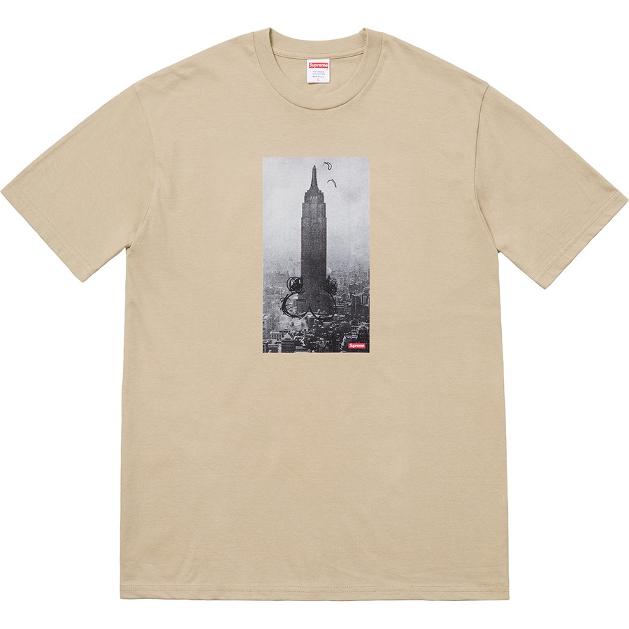 Details on Mike Kelley Supreme The Empire State Building Tee Clay from fall winter
                                                    2018 (Price is $48)