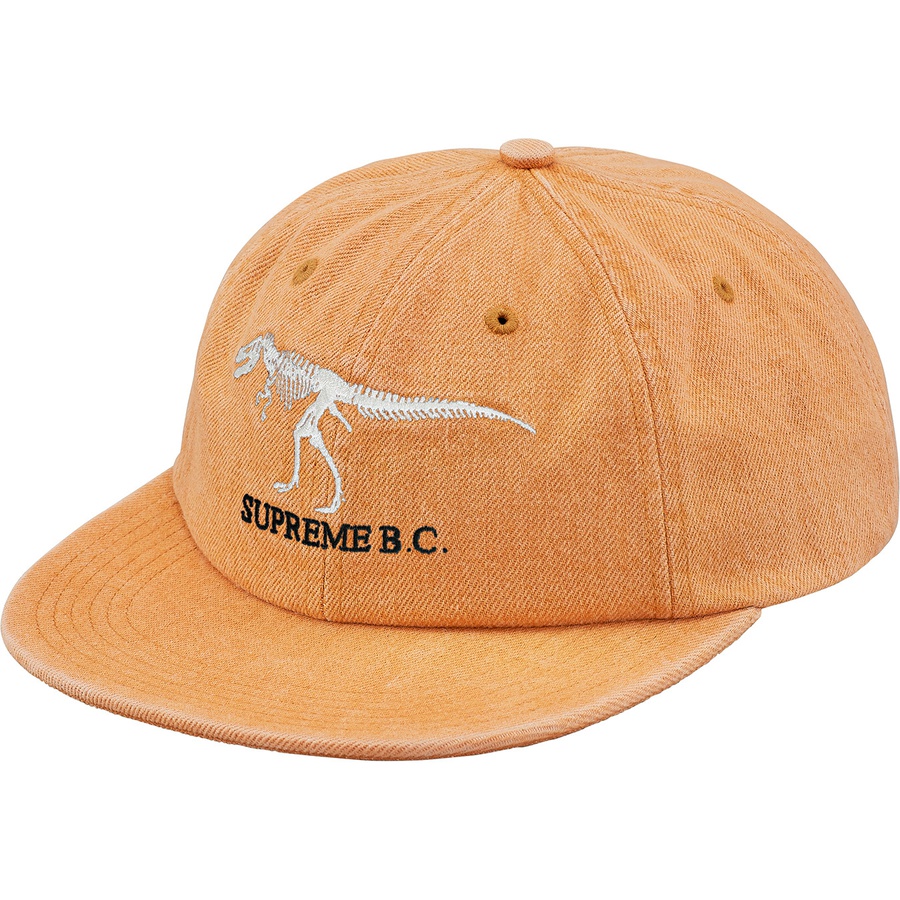 Details on B.C. 6-Panel Hat Gold from fall winter
                                                    2018 (Price is $44)