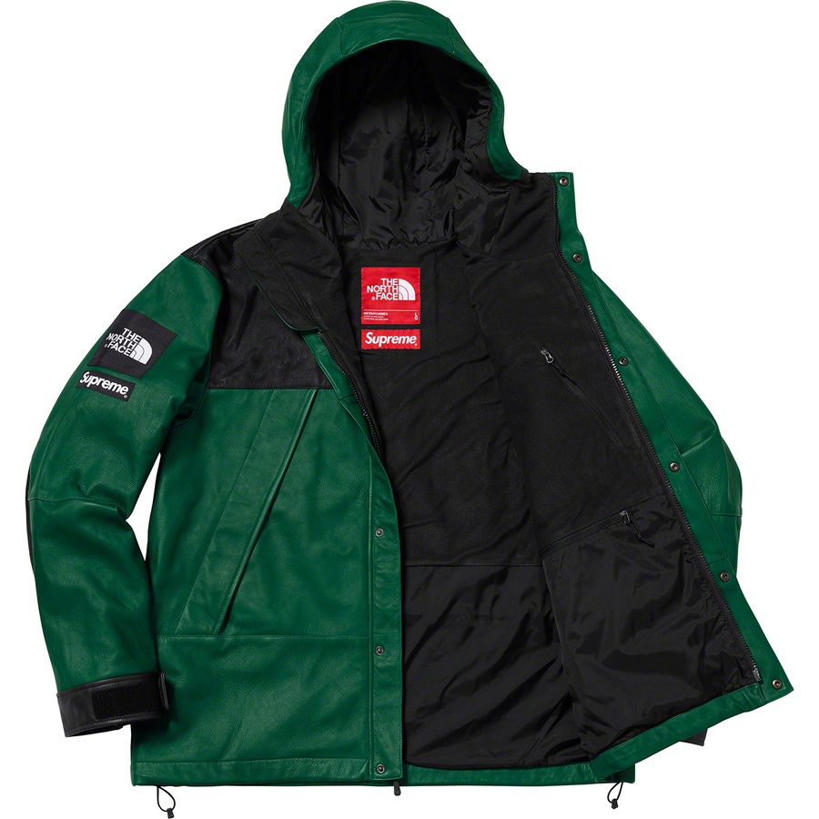 Details on Supreme The North Face Leather Mountain Parka Dark Green from fall winter
                                                    2018 (Price is $1098)