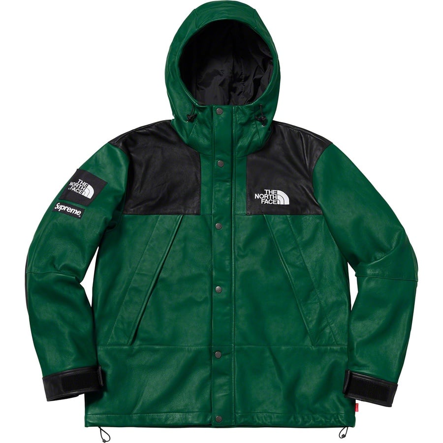 Details on Supreme The North Face Leather Mountain Parka Dark Green from fall winter
                                                    2018 (Price is $1098)