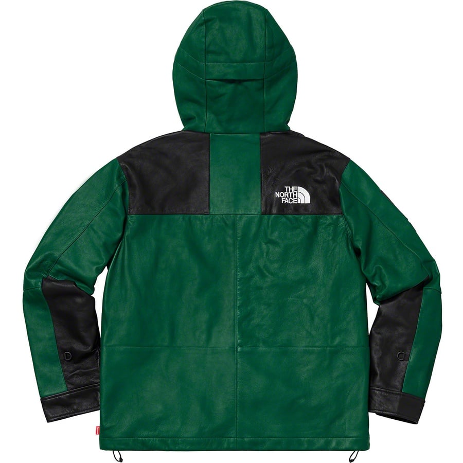 Details on Supreme The North Face Leather Mountain Parka Dark Green from fall winter
                                                    2018 (Price is $1098)