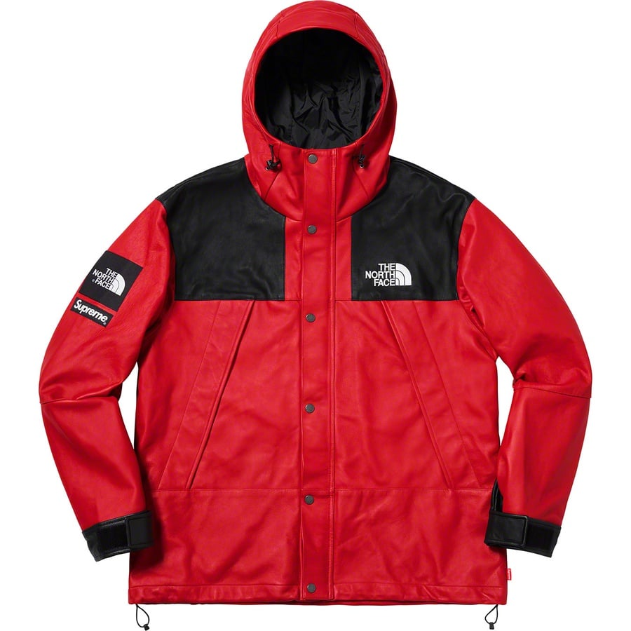 Supreme®/The North Face® Leather Mountain Parka Red