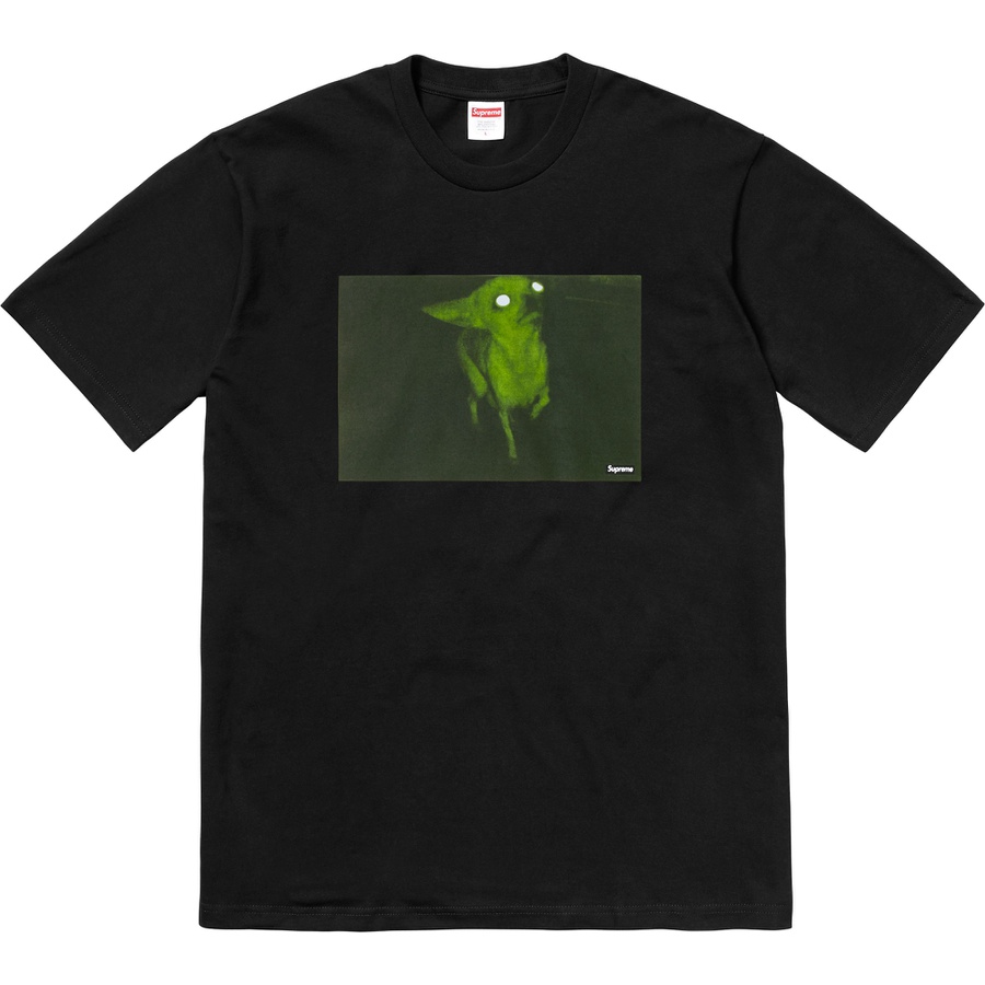Details on Chris Cunningham Chihuahua Tee from fall winter 2018 (Price is $44)