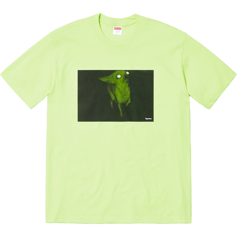 Details on Chris Cunningham Chihuahua Tee Pale Mint from fall winter 2018 (Price is $44)