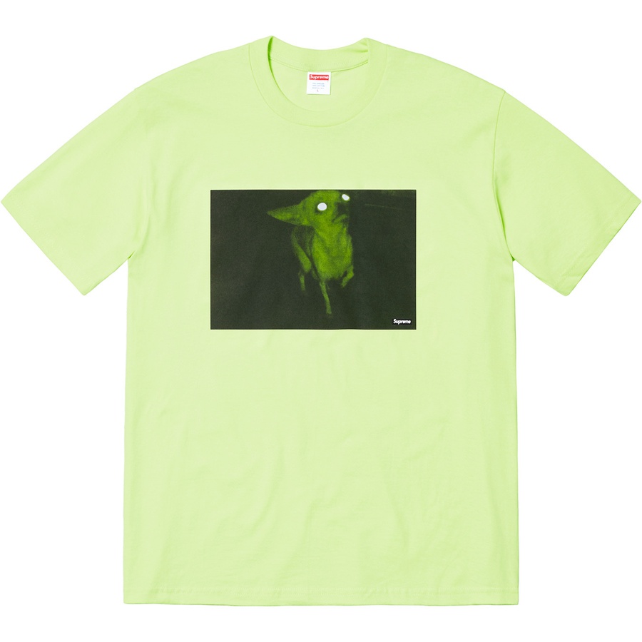 Details on Chris Cunningham Chihuahua Tee Pale Mint from fall winter
                                                    2018 (Price is $44)