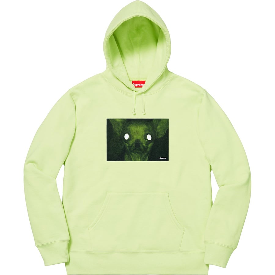 Details on Chris Cunningham Chihuahua Hooded Sweatshirt Pale Mint from fall winter
                                                    2018 (Price is $158)