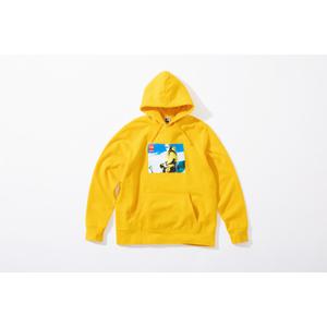 Supreme®/The North Face®