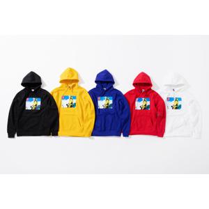 Supreme®/The North Face®