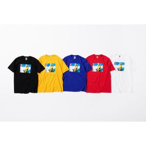 Supreme®/The North Face®