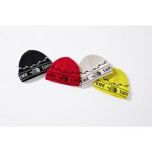 Supreme®/The North Face®