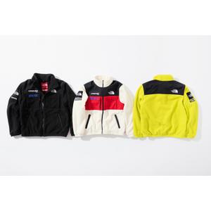 Supreme®/The North Face®