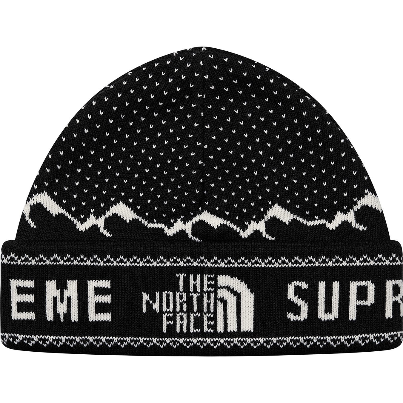 supreme the north face beanie