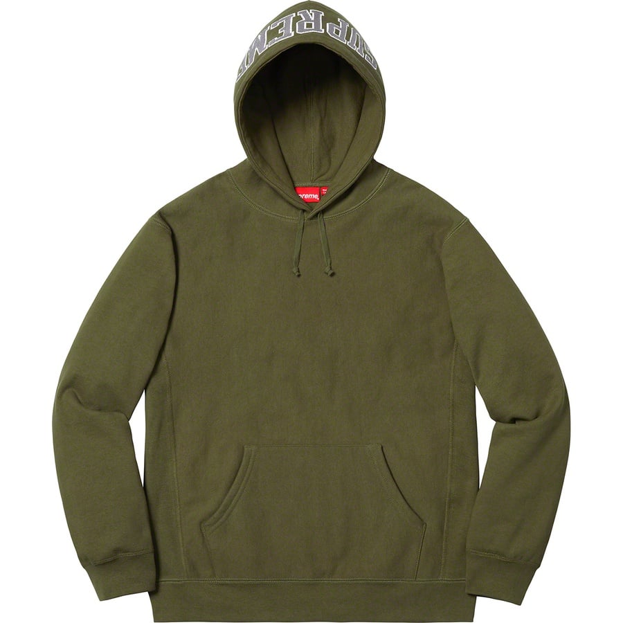 Details on Sequin Arc Hooded Sweatshirt Dark Olive from spring summer
                                                    2019 (Price is $158)