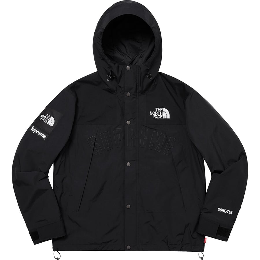 supreme the north face arc logo mountain parka teal