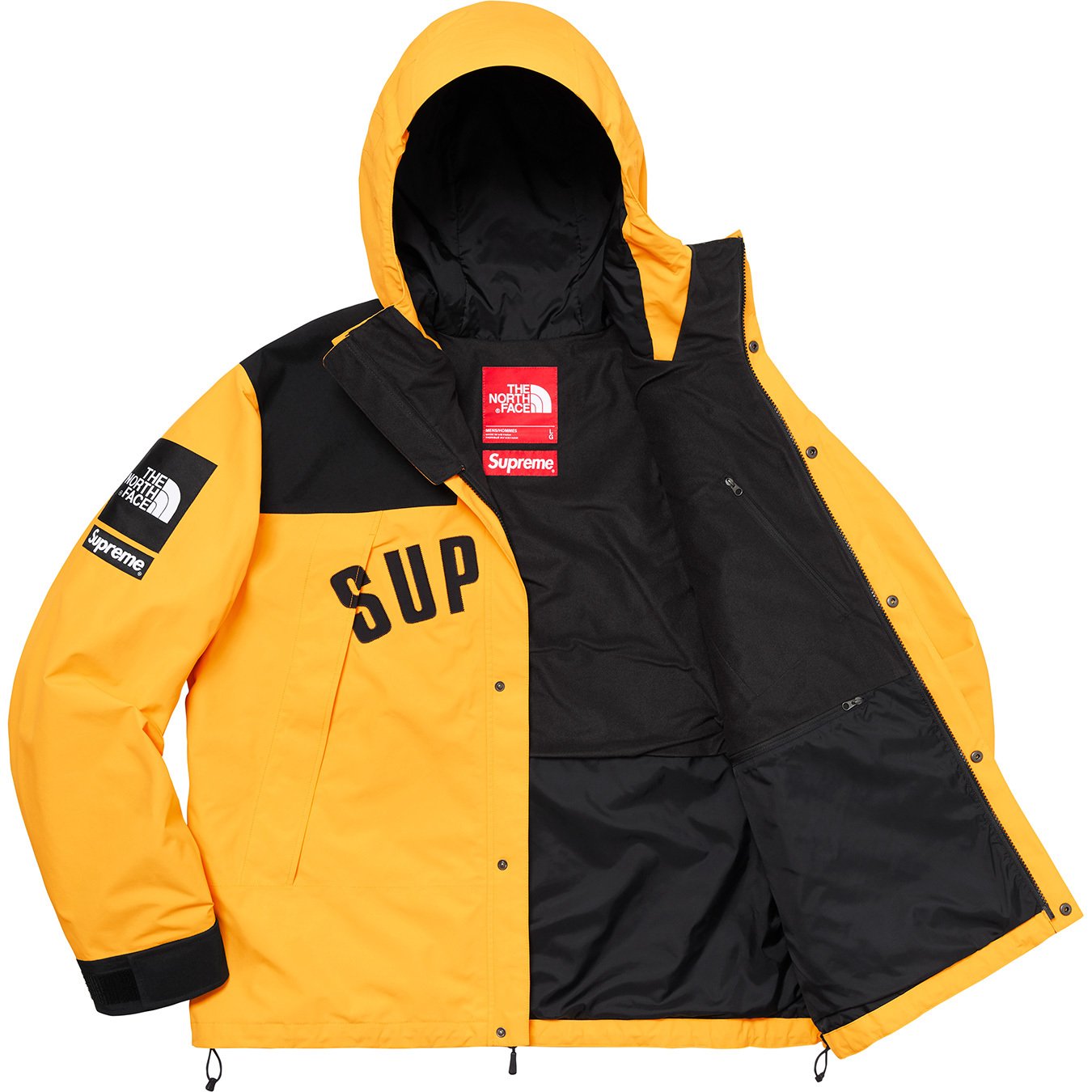 supreme north face arc logo mountain parka