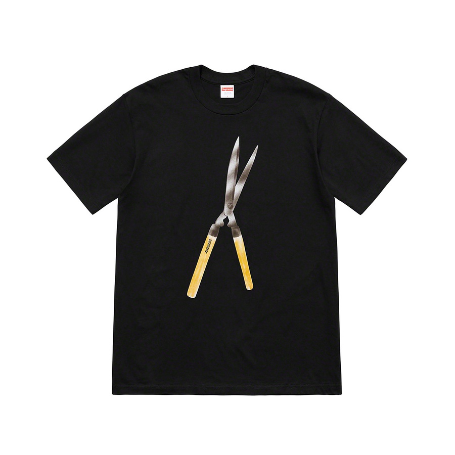 Details on Shears Tee from spring summer
                                            2019 (Price is $38)