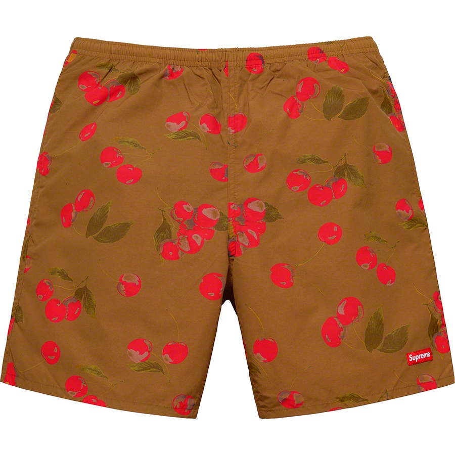 Details on Nylon Water Short Brown Cherry from spring summer
                                                    2019 (Price is $118)