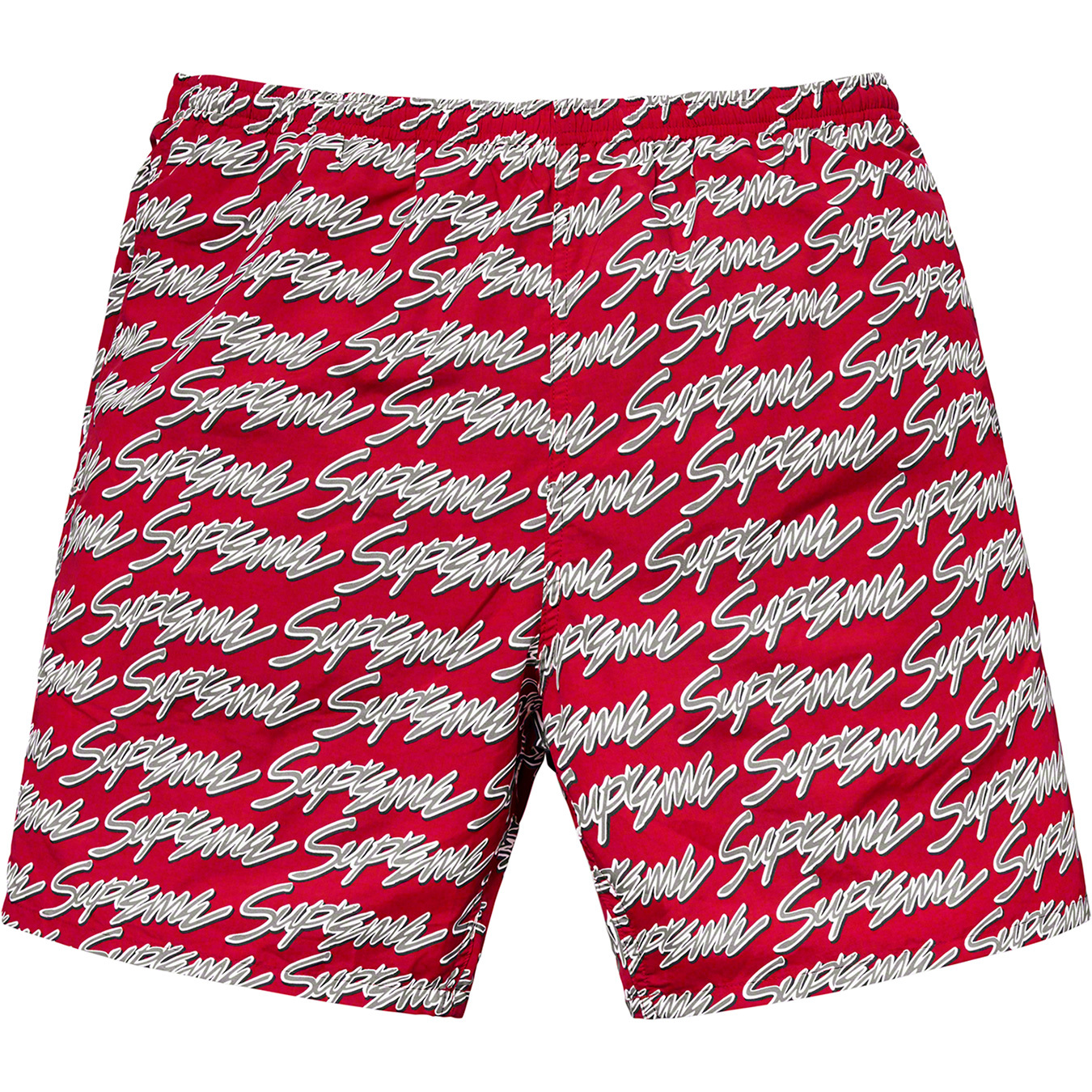 Signature Script Logo Water Short / M-