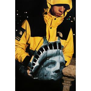 Supreme®/The North Face®