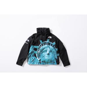 Supreme®/The North Face®