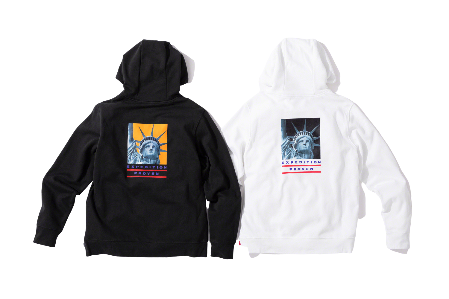 Supreme®/The North Face® Statue of Liberty Hooded Sweatshirt 