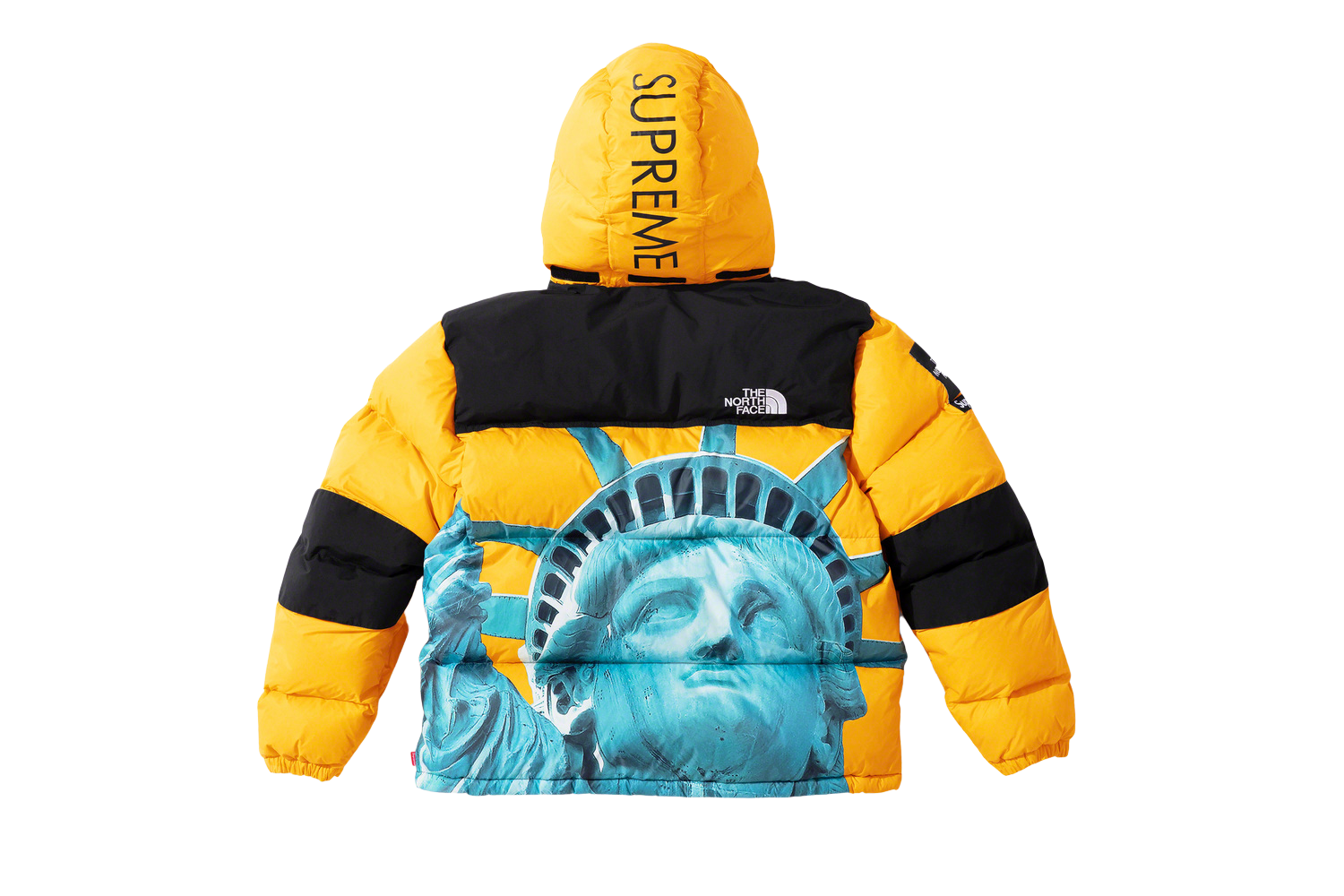 Supreme The North Face Statue of Liberty Baltoro Jacket