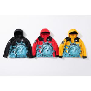 Supreme®/The North Face®