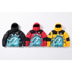 Supreme®/The North Face®