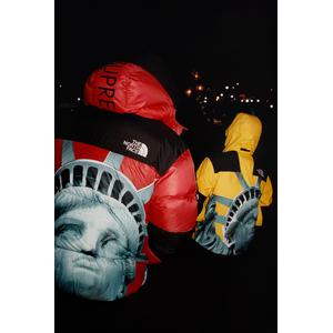 Supreme®/The North Face®