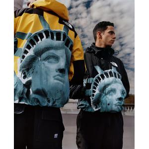 Supreme®/The North Face®