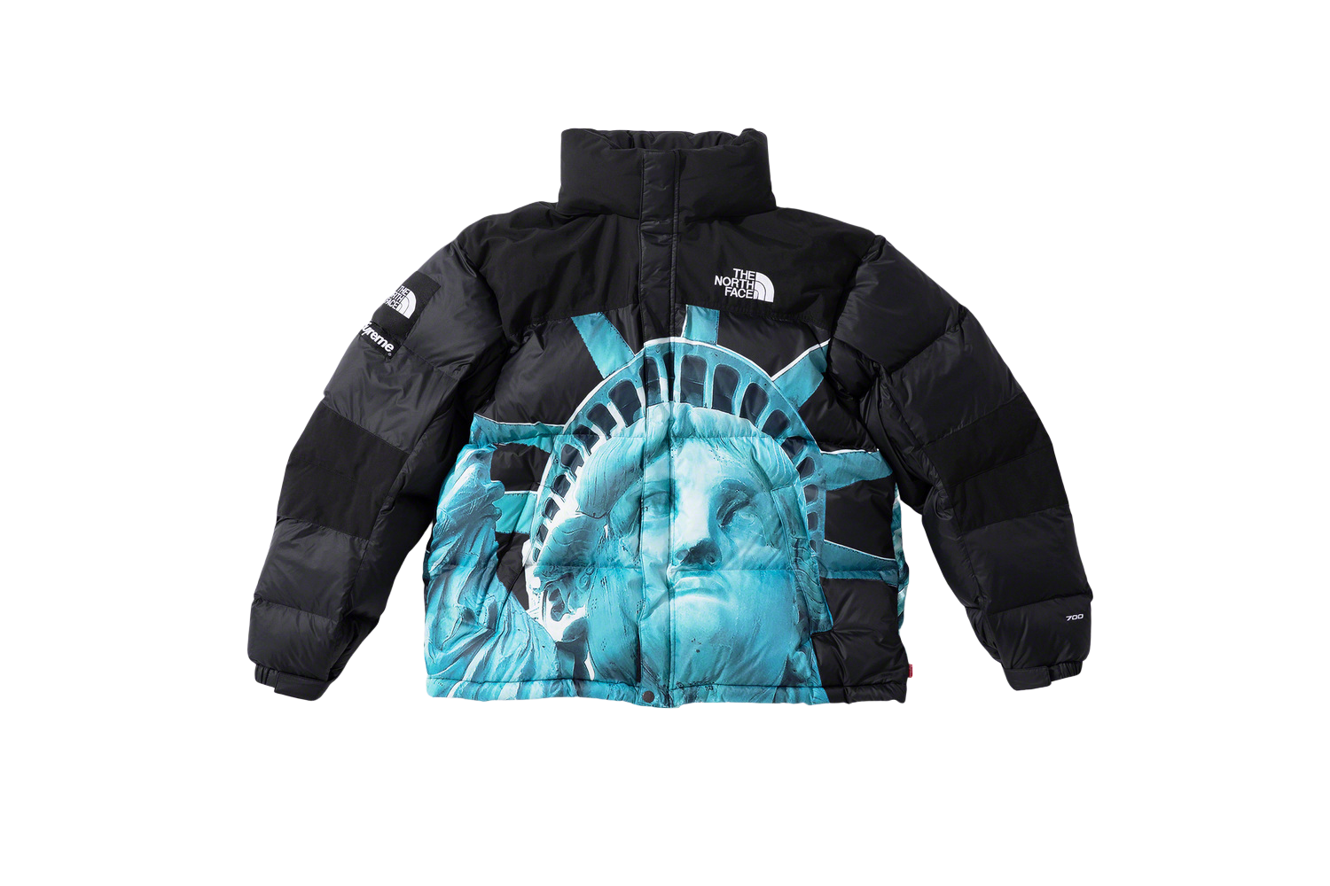 Supreme®/The North Face® Statue of Liberty Baltoro Jacket 
