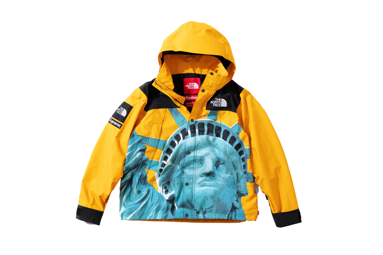 The North Face Statue of Liberty Mountain Jacket - fall winter