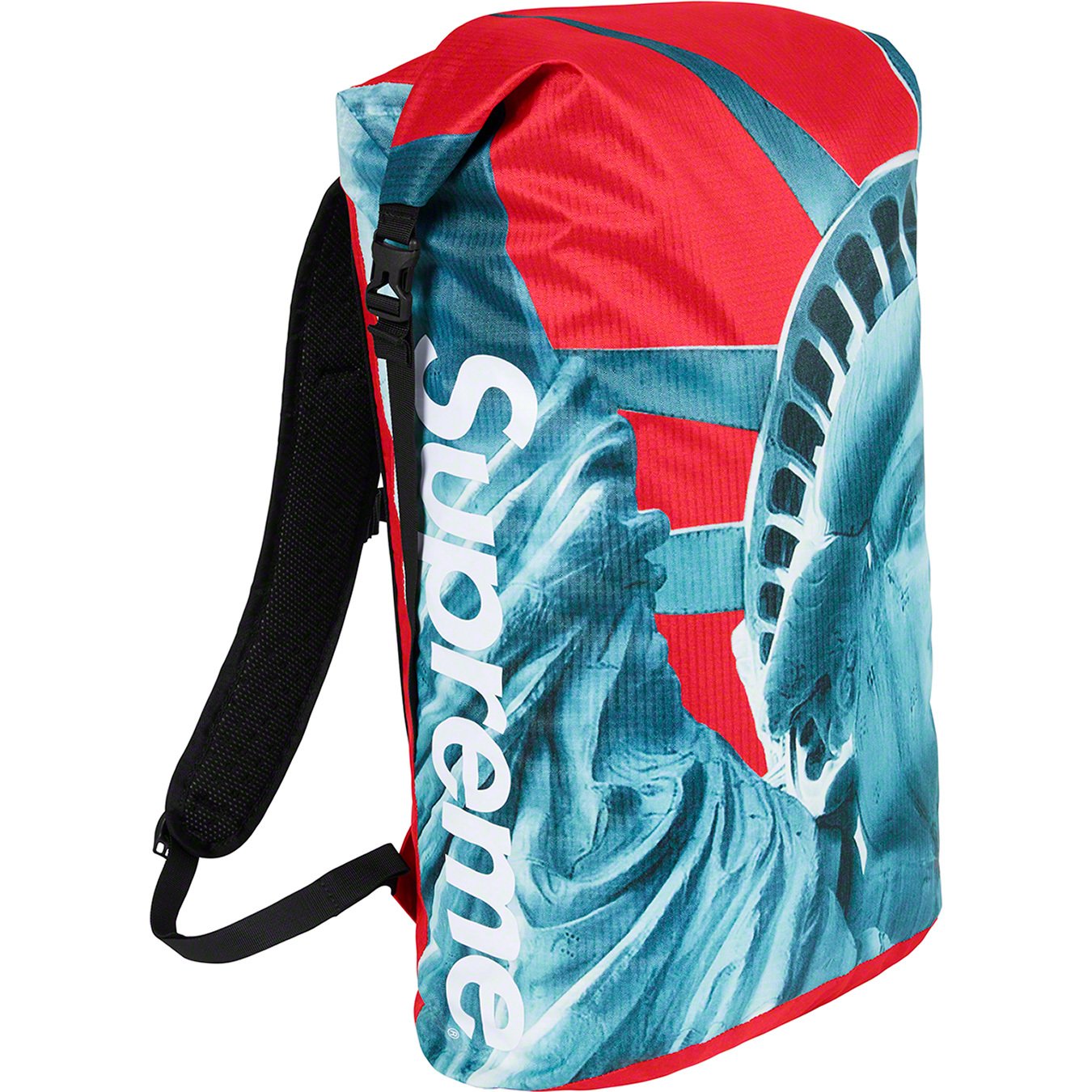 The North Face Statue of Liberty Waterproof Backpack - fall winter