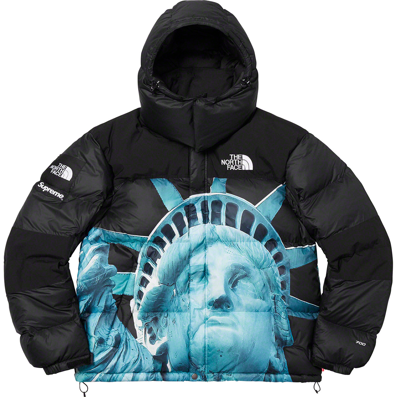 Supreme The North Face Statue of Liberty - マウンテンパーカー