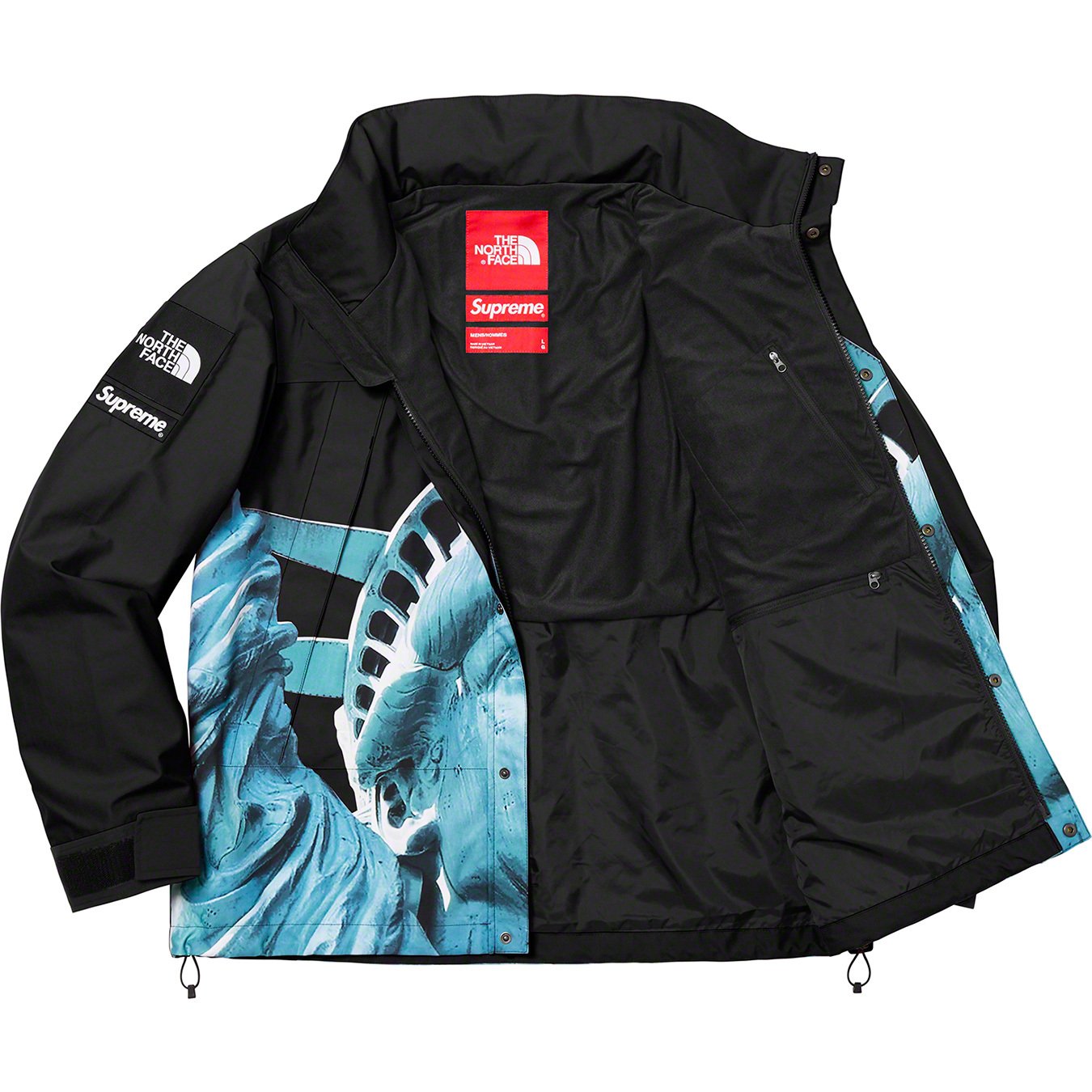 Supreme 2019 Cruise Supreme The North Face Statue of Liberty Mountain  Jacket Red