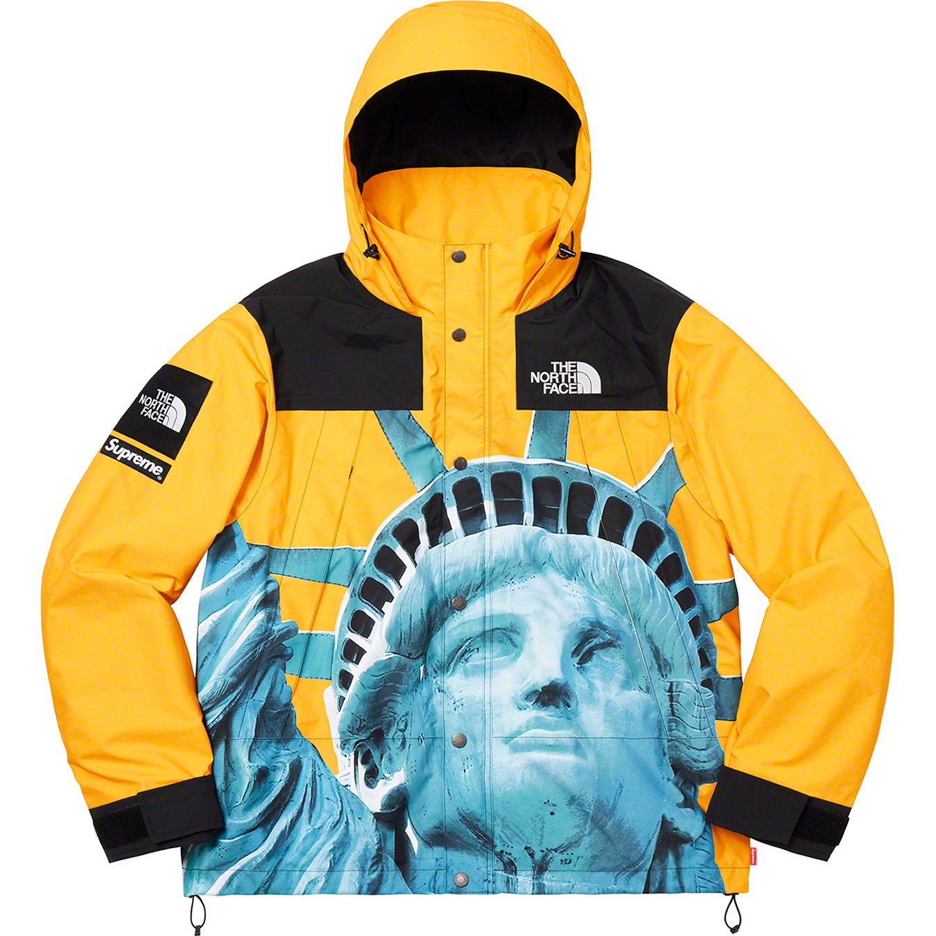 The North Face Statue of Liberty Mountain Jacket - fall winter