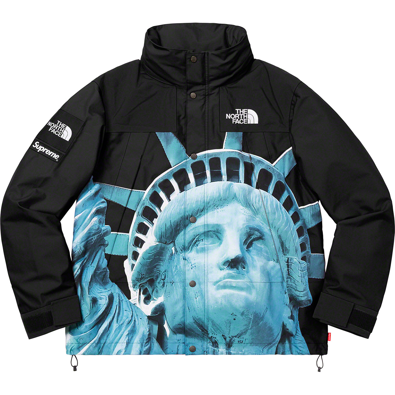 The North Face Statue of Liberty Mountain Jacket - fall winter 