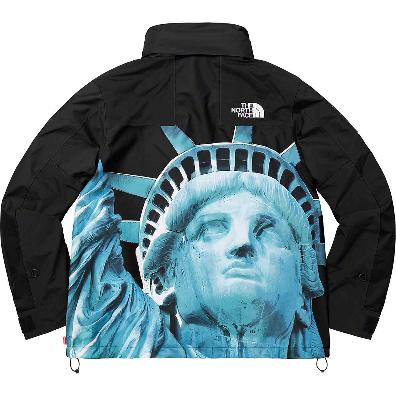 Supreme TNF Statue of Liberty Mountain②